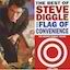 The Best of Steve Diggle and Flag of Convenience