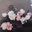 Power, Corruption & Lies Power, Corruption & Lies