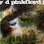 A Saucerful of Secrets A Saucerful of Secrets